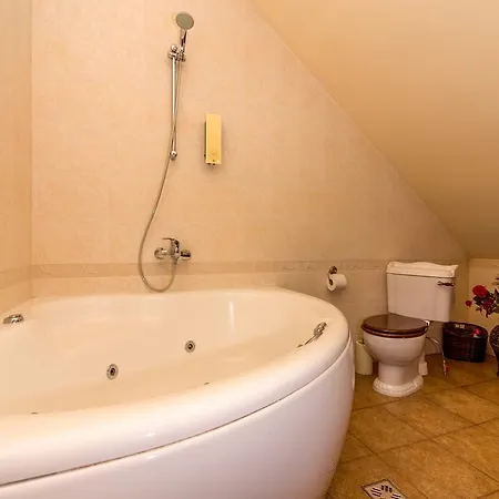 Manor Birgitta Guest house 3*