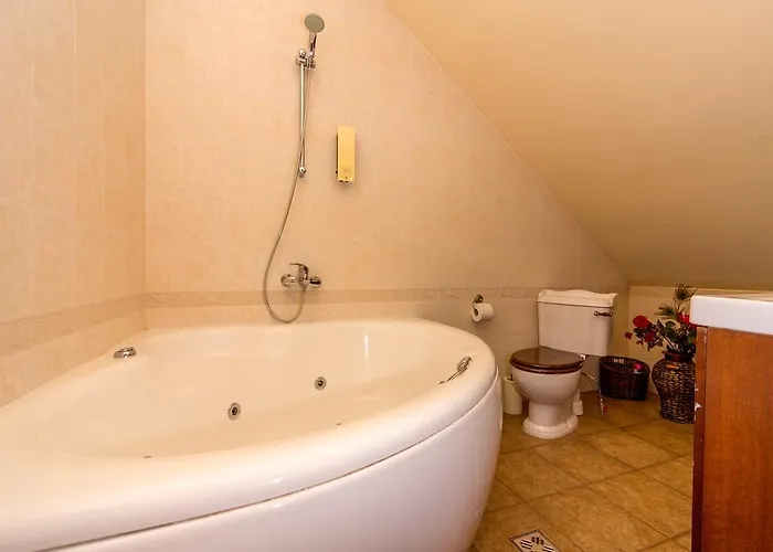 Manor Birgitta Penzion 3*